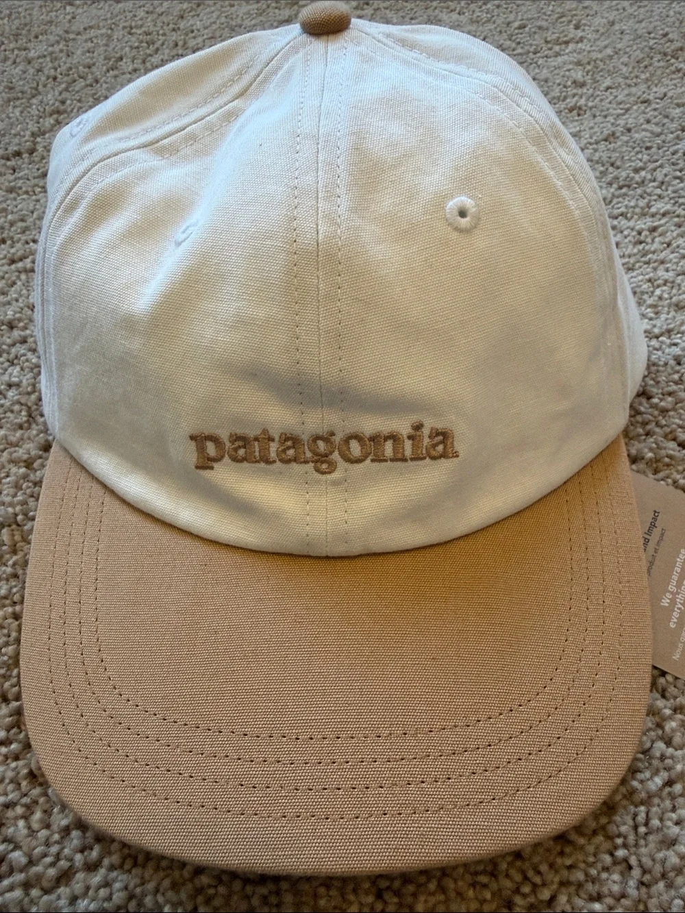 NWT Patagonia Fitz Roy Icon Trad Cap
